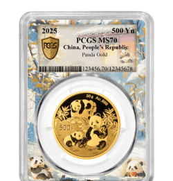 熊猫金套币一个多少钱（2025年11月04日更新）